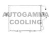 AUTOGAMMA 105717 Condenser, air conditioning